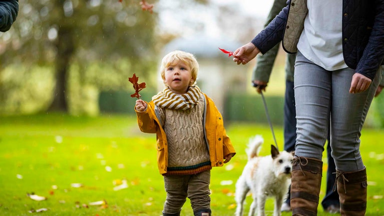 Visitors in the autumn garden at Kedleston Hall, Derbyshire